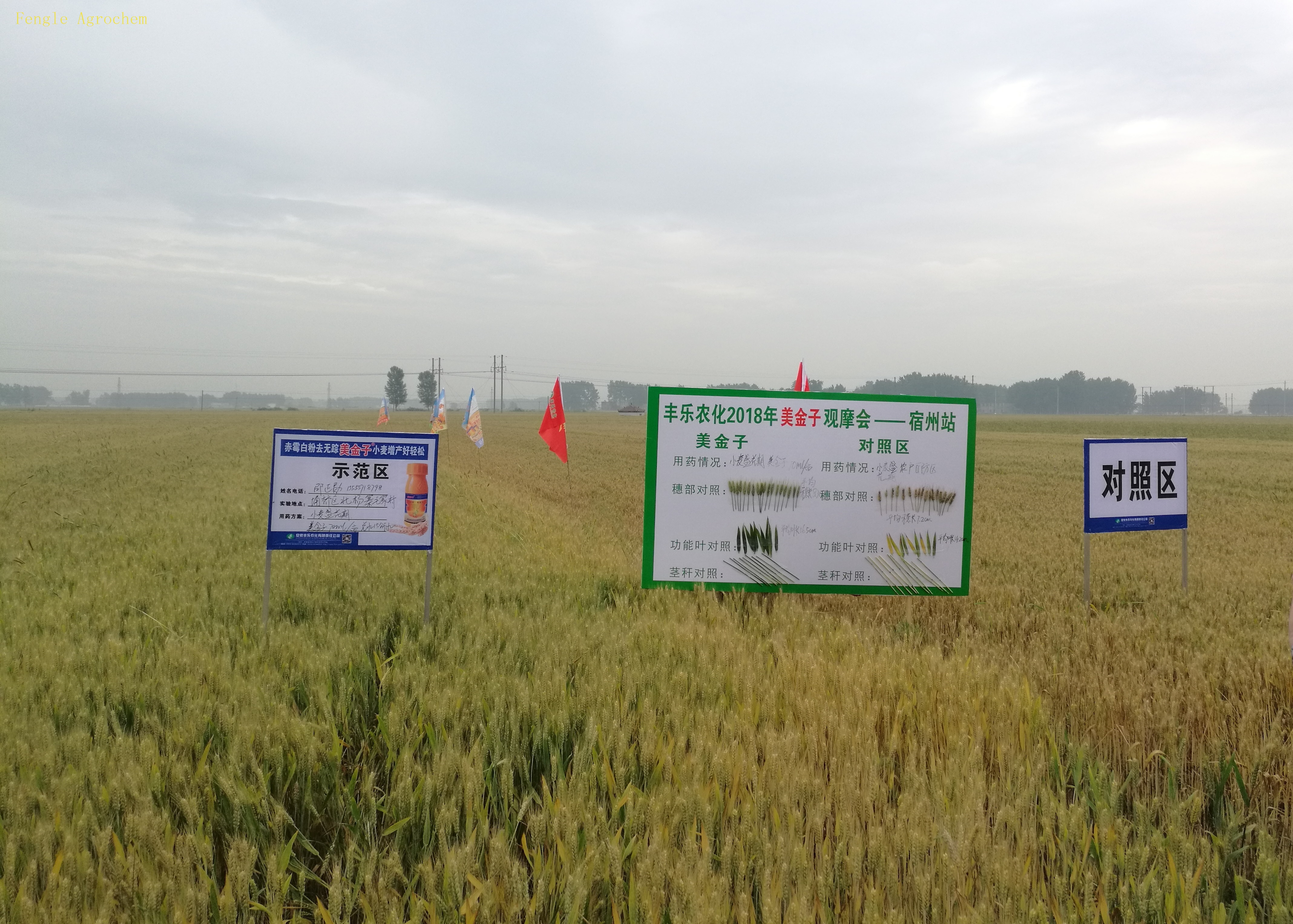 Z6尊龙(China)官方网站