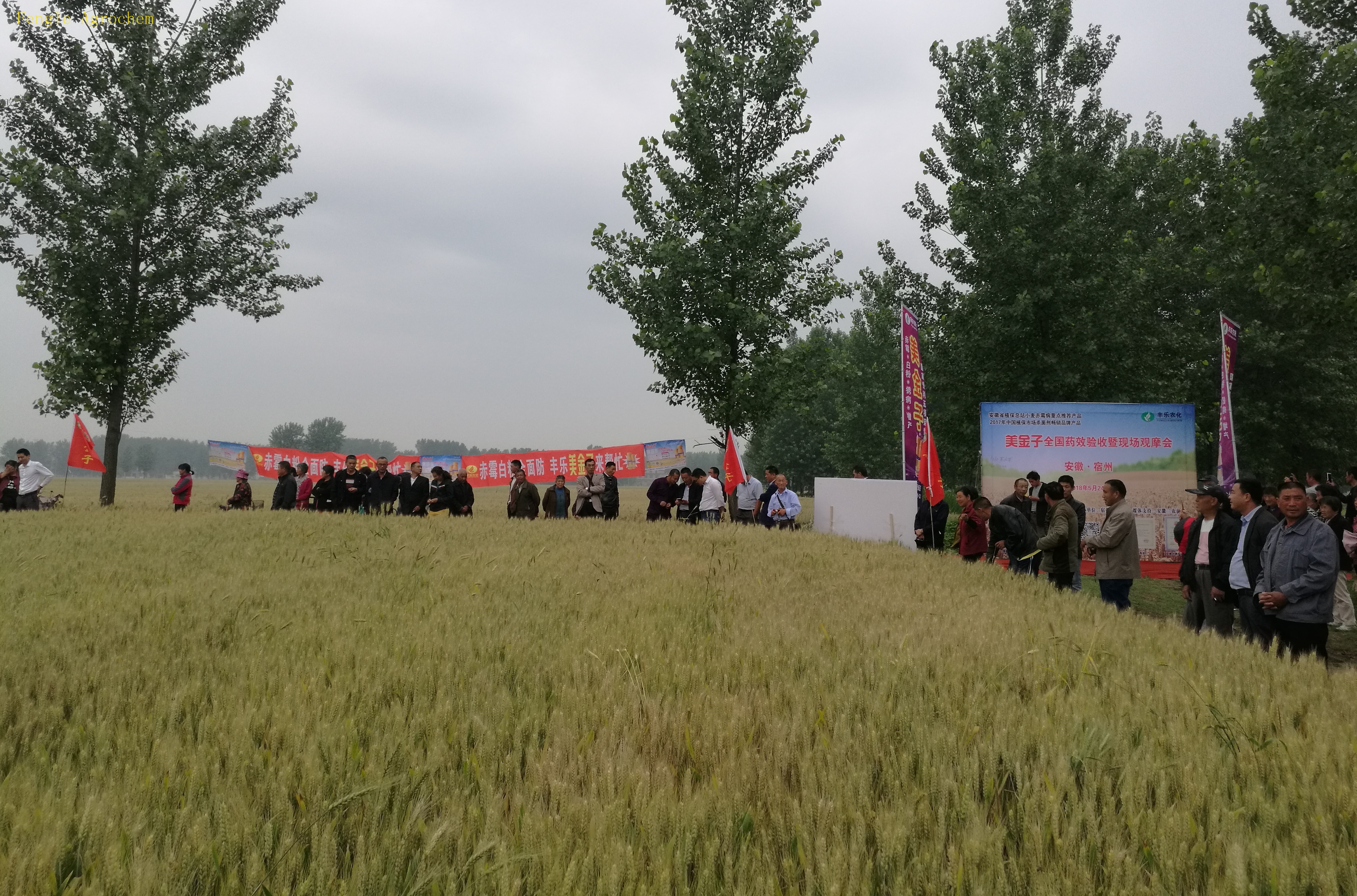 Z6尊龙(China)官方网站