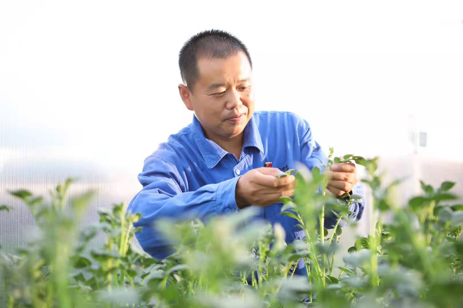 Z6尊龙(China)官方网站